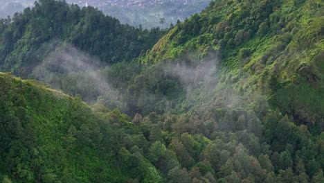 slightly misty fog blowing over mountain forest. aerial footage of green trees vegetation on the hillside in the morning.