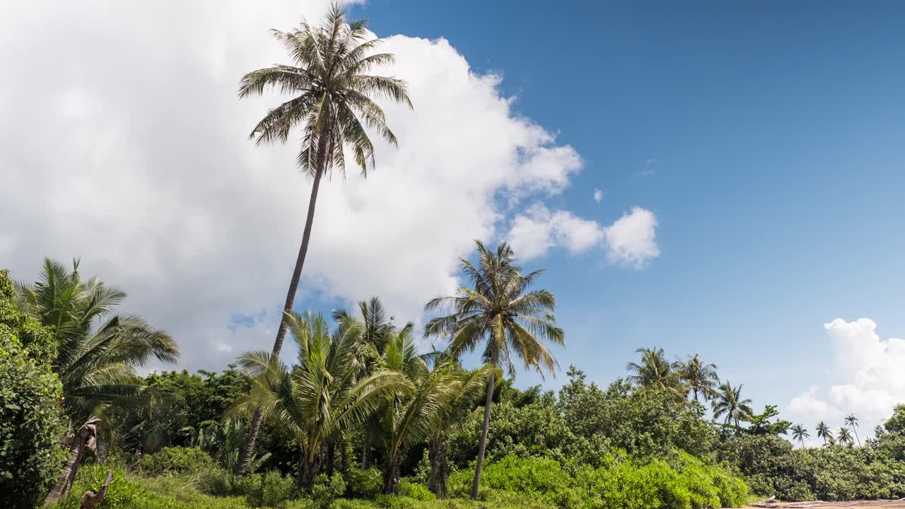 Timelapse of Clouds Over Palm Trees in Paradise Thailand