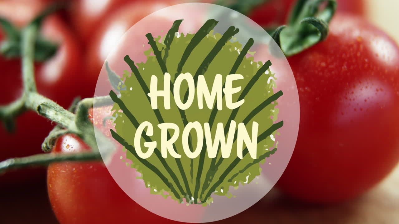 신선한 토마토 위에 채식주의 텍스트의 애니메이션