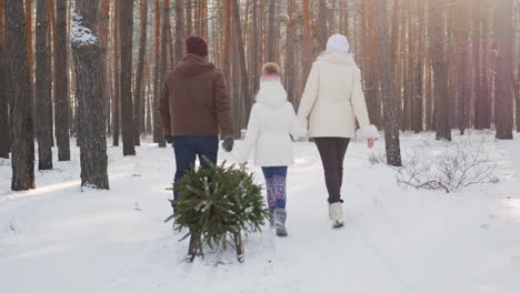 a married couple with a child walks through a snow-covered forest a girl is dragging a sled with a c