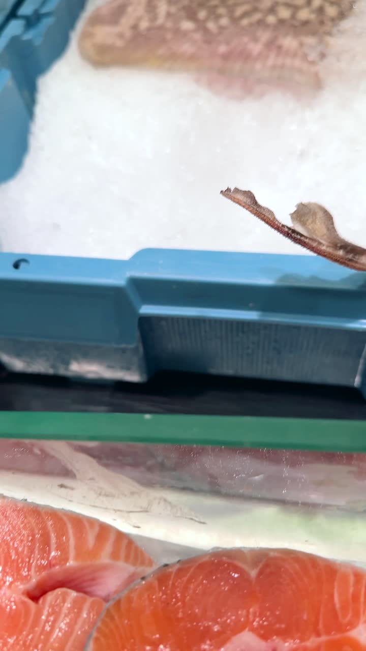 Fresh Fish and Salmon Display