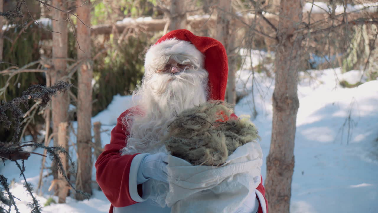 santa está parado en el bosque con un saco lleno de musgo en sus manos