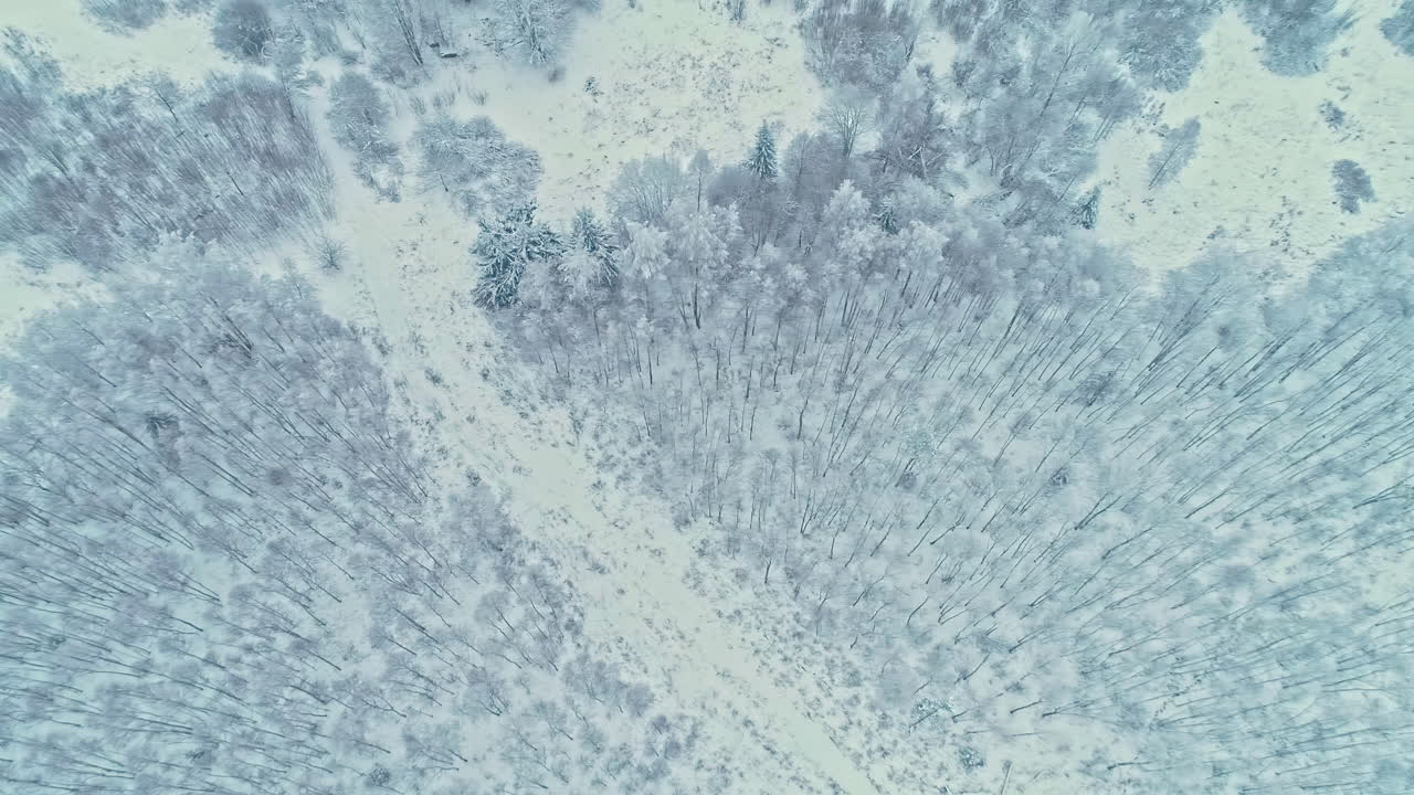 foresta invernale completamente coperta di neve, vista aerea da drone