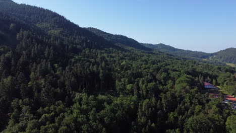 Schwarzwald-In-Deutschland-An-Einem-Sonnigen-Tag,-Luftdrohnen-grüne-Landschaft