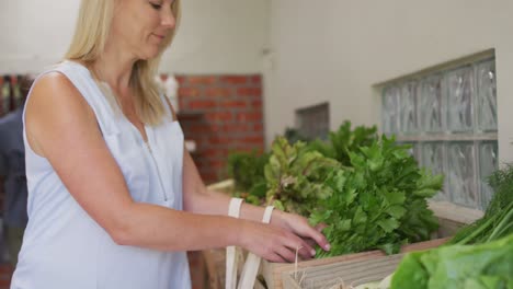 video of caucasian woman picking up fresh organic celery in grocery shop