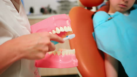primer plano de un dentista que demuestra el cepillado profesional de los dientes