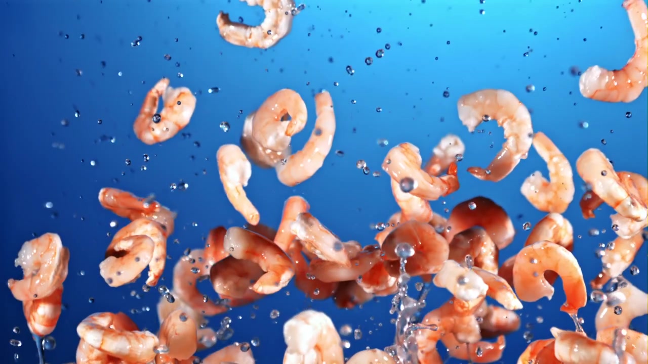 Gamberetti cotti e schizzi d'acqua al rallentatore su sfondo blu