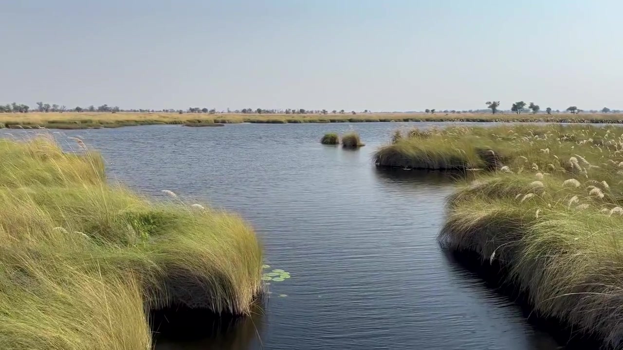Moving along the channel in Xakanaxa Lagoon in Moremi Game Reserve. Okavango Delta, Botswana.