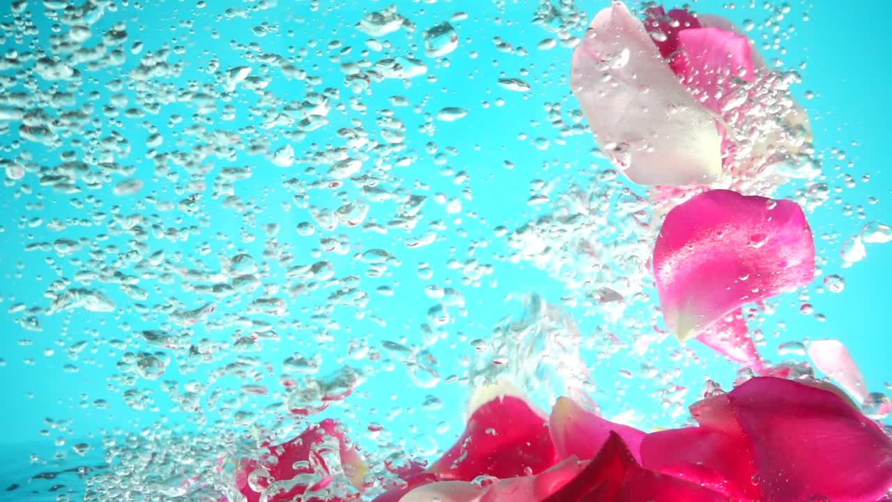 Petali di rose cadono nell'acqua. Sfondo. Movimento rallentato.
