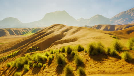 desert landscape with sand dunes and mountains in the background