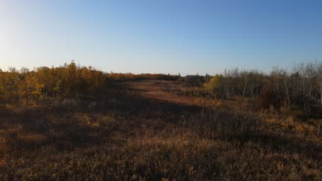 drone flying above the dry countryside of central alberta during fall season