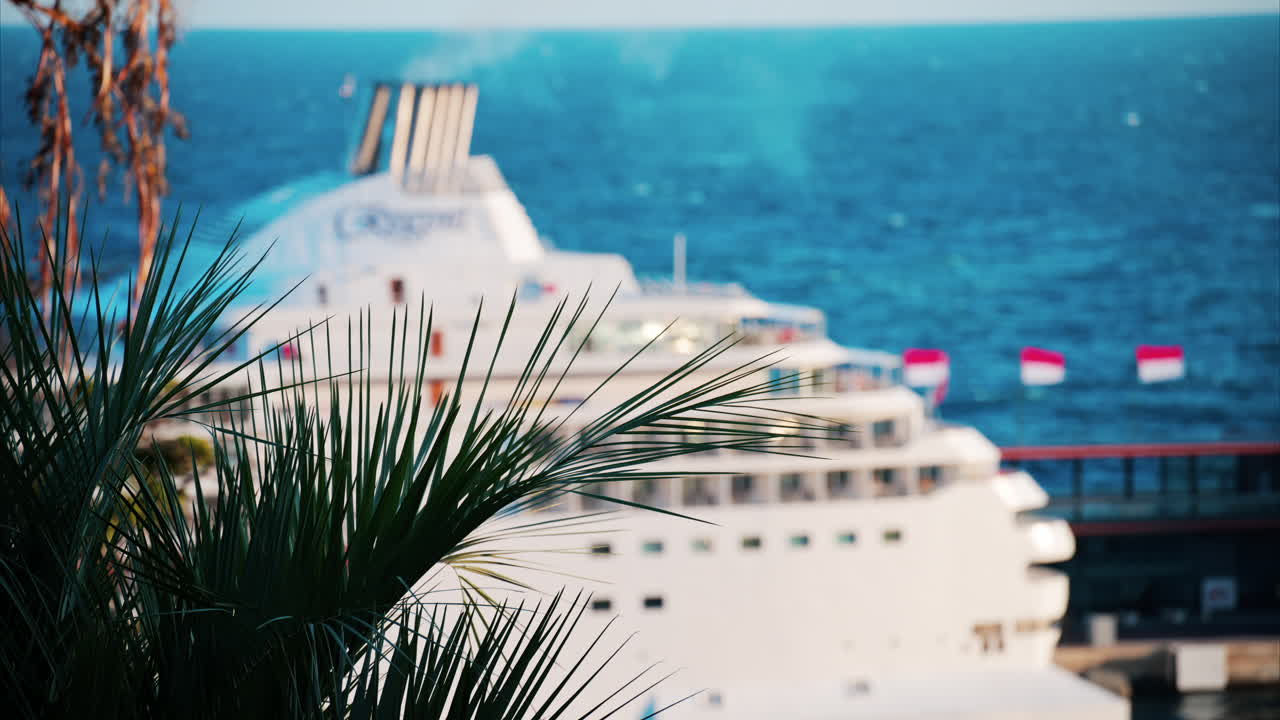 Multiple palm trees with a large cruise ship docked in the Monaco Marina in the evening
