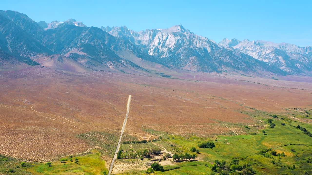 4k antena volando sobre un campo de flores por las colinas de alabama con el monte whitney en el fondo, en california, estados unidos