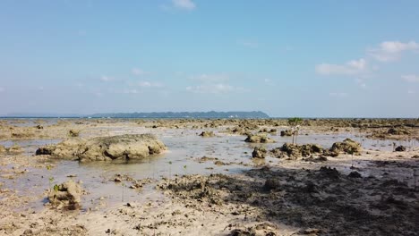 an unusual natural landscape of shorelines at low tide in the andaman islands with volcanic rocks and mangrove ecosystems