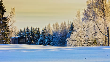 Zeitraffer-Des-Winterschnee-Fichten-Weihnachtsbaumwaldes-Und-Der-Blockhütte-In-Lettland