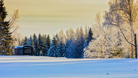 Time-lapse-of-winter-snow-spruce-Christmas-tree-forest-and-log-cabin-in-Latvia