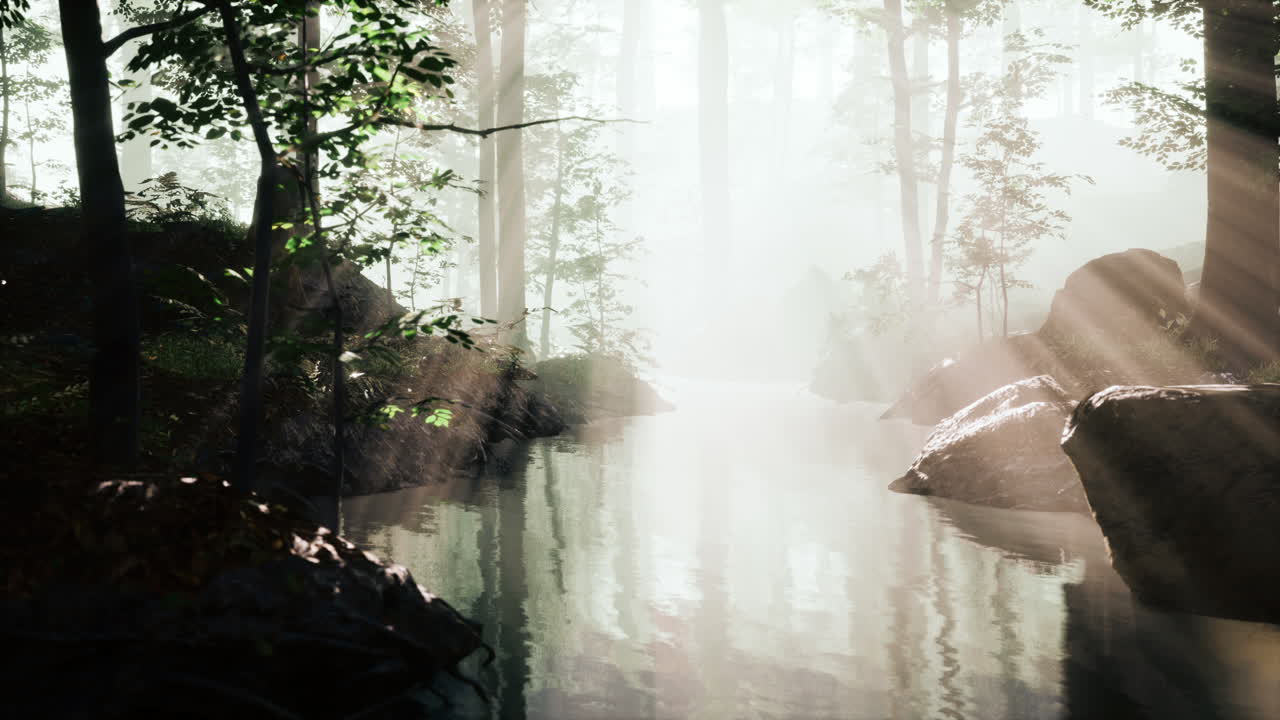 신비로운 숲의 어두운 연못