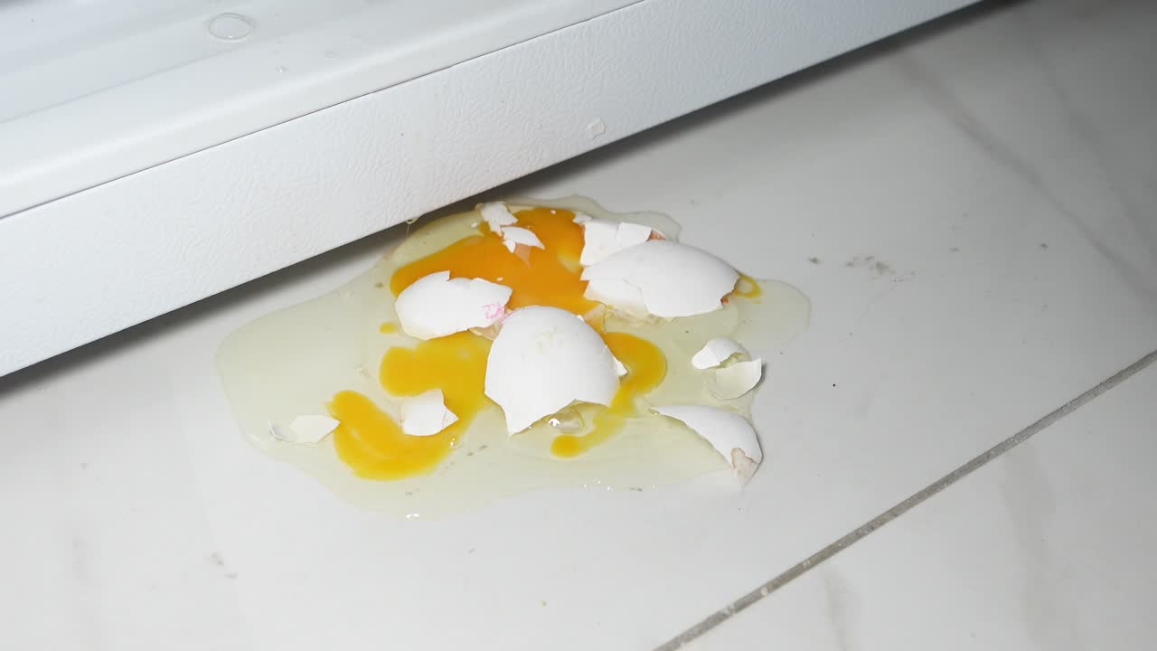 Broken Egg Under Refrigerator