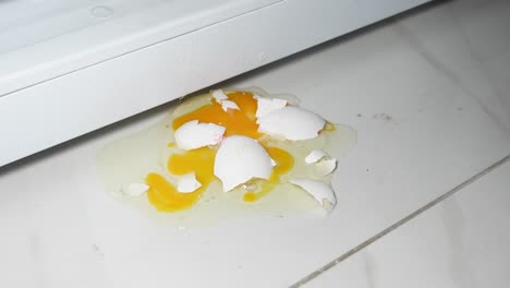 huevo roto debajo del refrigerador