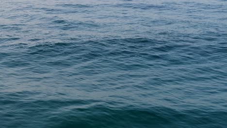 surface of blue ocean with calm waves