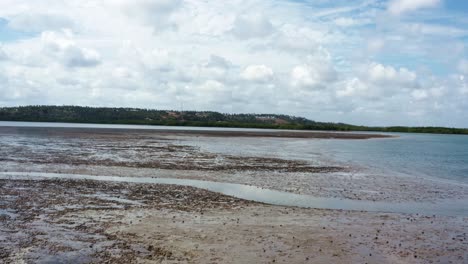 fast dolly in aerial drone shot flying over a natural sand bar with exotic birds flying in the tropical guaraíras lagoon in the touristic beach town of tibau do sul, brazil in rio grande do norte