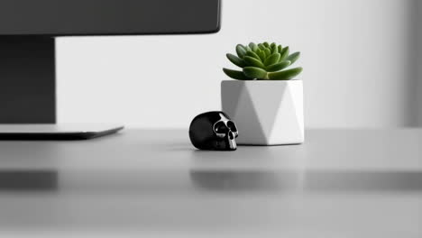 minimalist desk decor with succulent plant and skull figurine