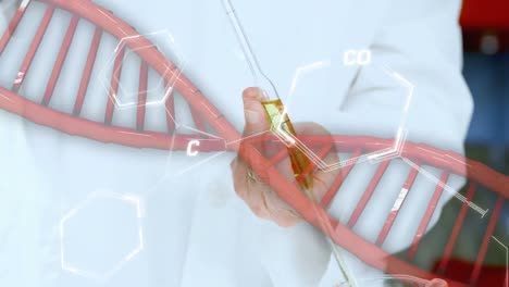 animation of dna and chemical structures over mid section of a male scientist working at laboratory