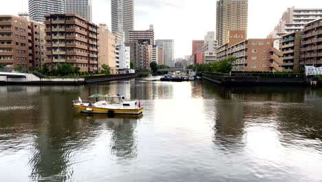 在東京的美麗景色