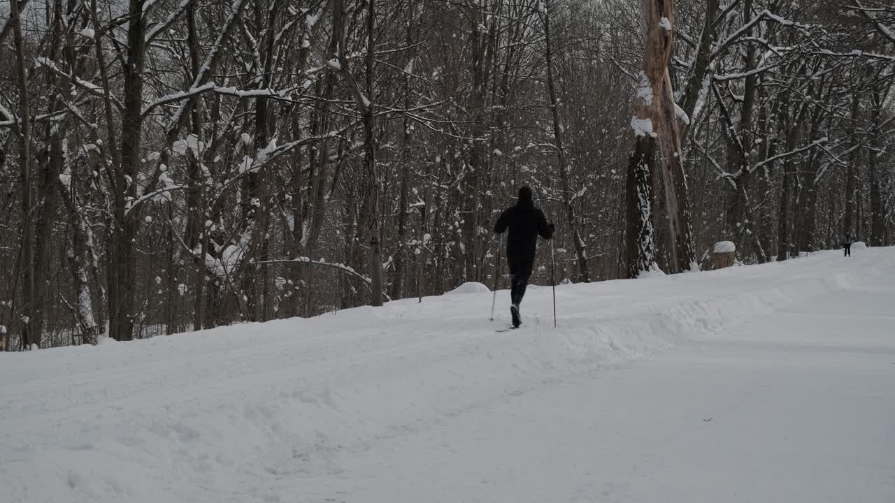 몬트리올의 겨울 공원에서 멀리 이동하는 크로스컨트리 스키 선수