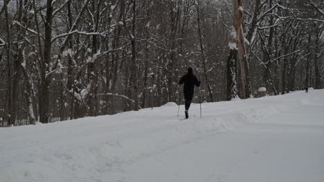 Esquiador-De-Fondo-Alejándose-En-Un-Parque-De-Invierno-En-Montreal