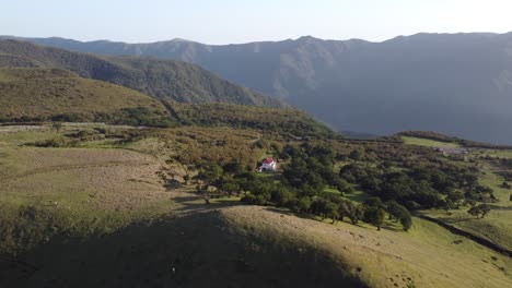 Una-Vista-Aérea-Desde-Arriba-Del-Bosque-Fanal-En-Madeira-Al-Atardecer