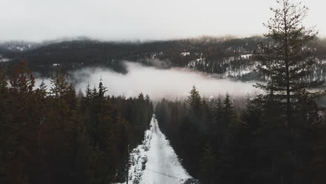 aerial view of misty coniferous forest in nakusp, british columbia, canada during winter - drone shot