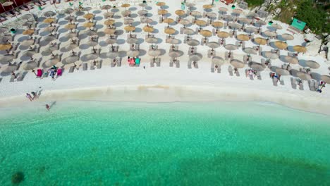 top down view revealing the beautiful marble beach, with crystal clear water, white pebbles, lush green vegetation, umbrellas and sunbeds, thassos island, greece, mediterranean sea, europe
