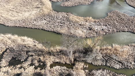 water meadow stream flowing along a channel with brown plants