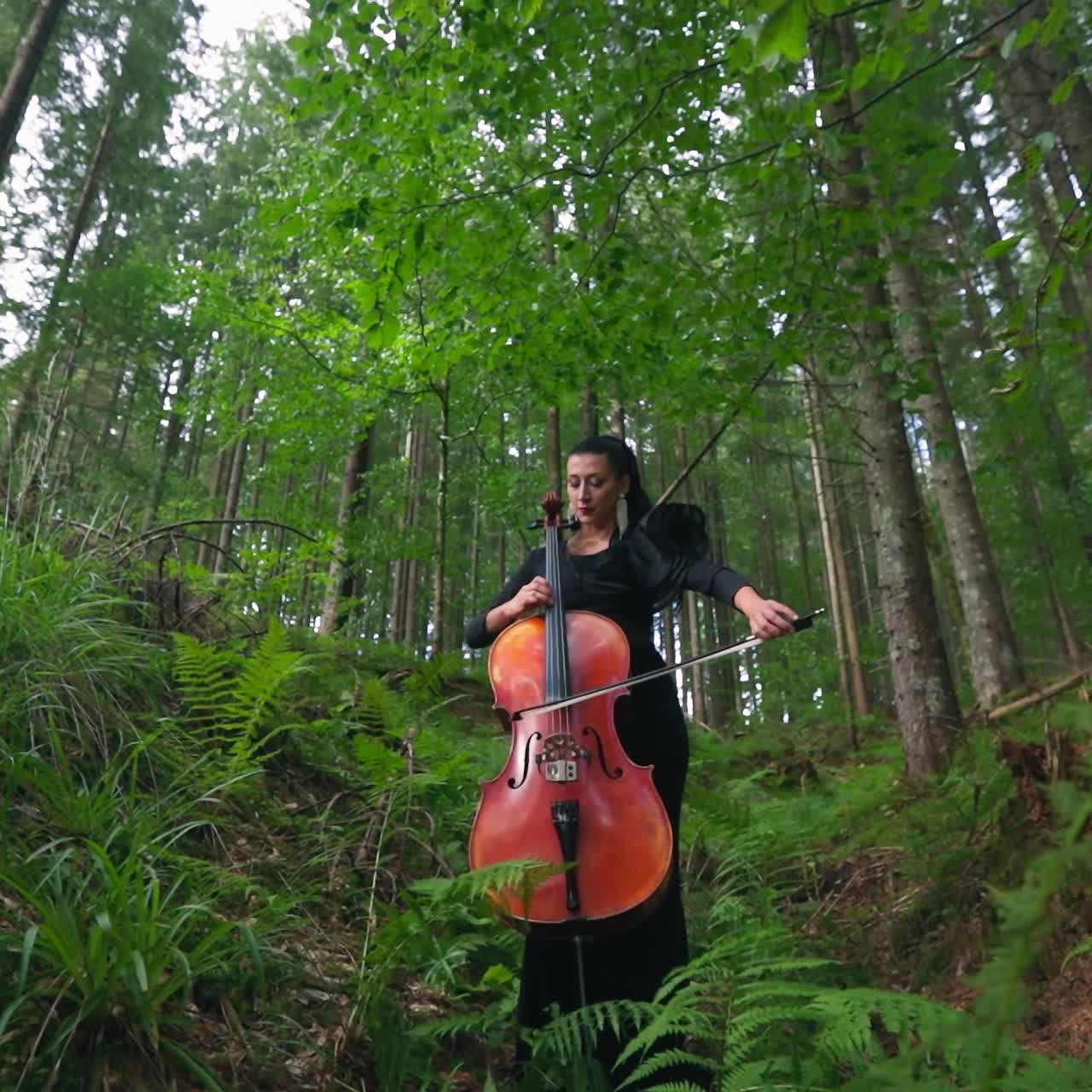 Lady with musical instrument in beautiful nature. Attractive woman in long black dress playing the cello in green forest.