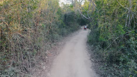 jinete de atv cabalgando por el polvoriento camino en el bosque hacia el cenote mexicano, méxico