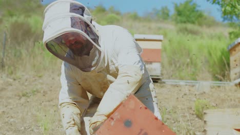 a beekeeper in a protective suit tending to beehives surrounded by flying bees