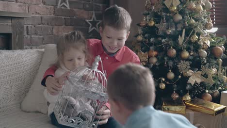 elder brother hugs younger sister and shows white cage