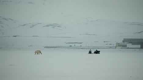 a mother polar bear and her cub move across an icy landscape in svalbard