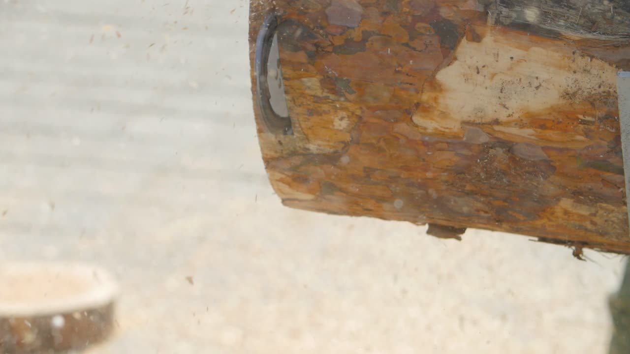 cortando un tronco con una motosierra