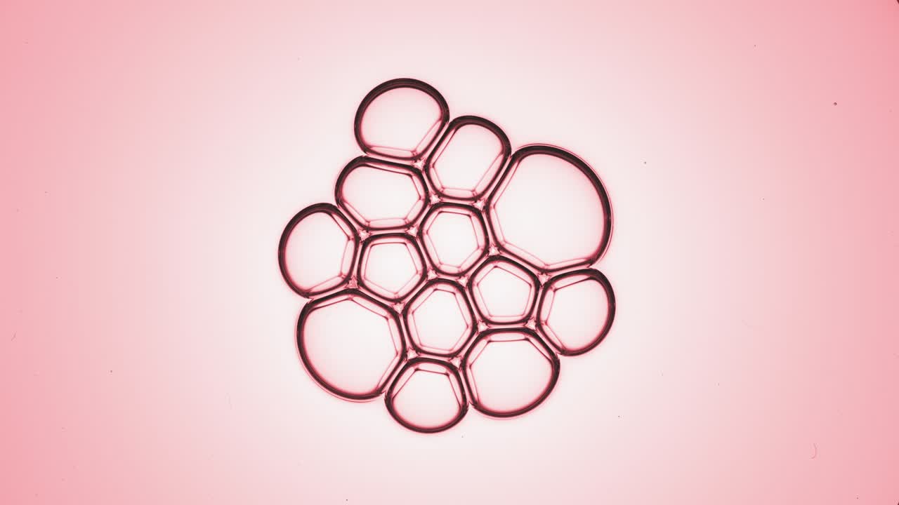 작은 둥근 분자는 12개의 다른 분자들로 구성된 집합체에 합류한다.