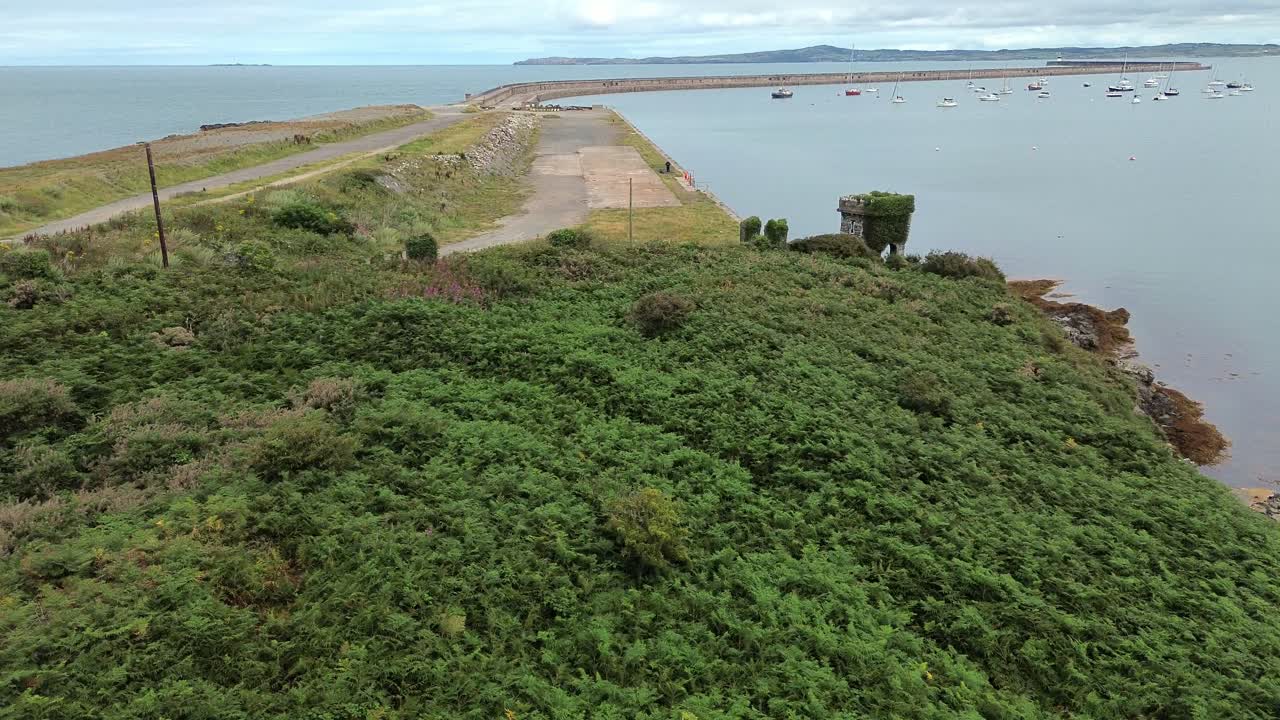 Descending aerial view over dense woodland tree tops towards mile long Holyhead coastal breakwater
