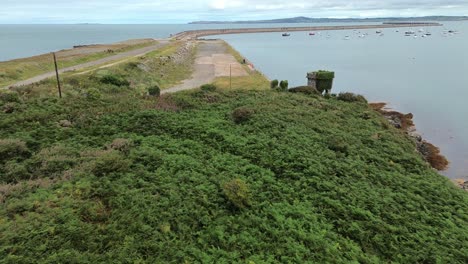 descending aerial view over dense woodland tree tops towards mile long holyhead coastal breakwater