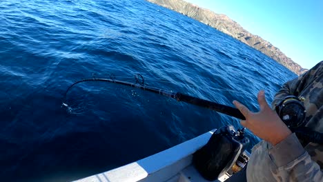 los carretes de pescador en una vara doblada luchando contra peces grandes en la costa de méxico