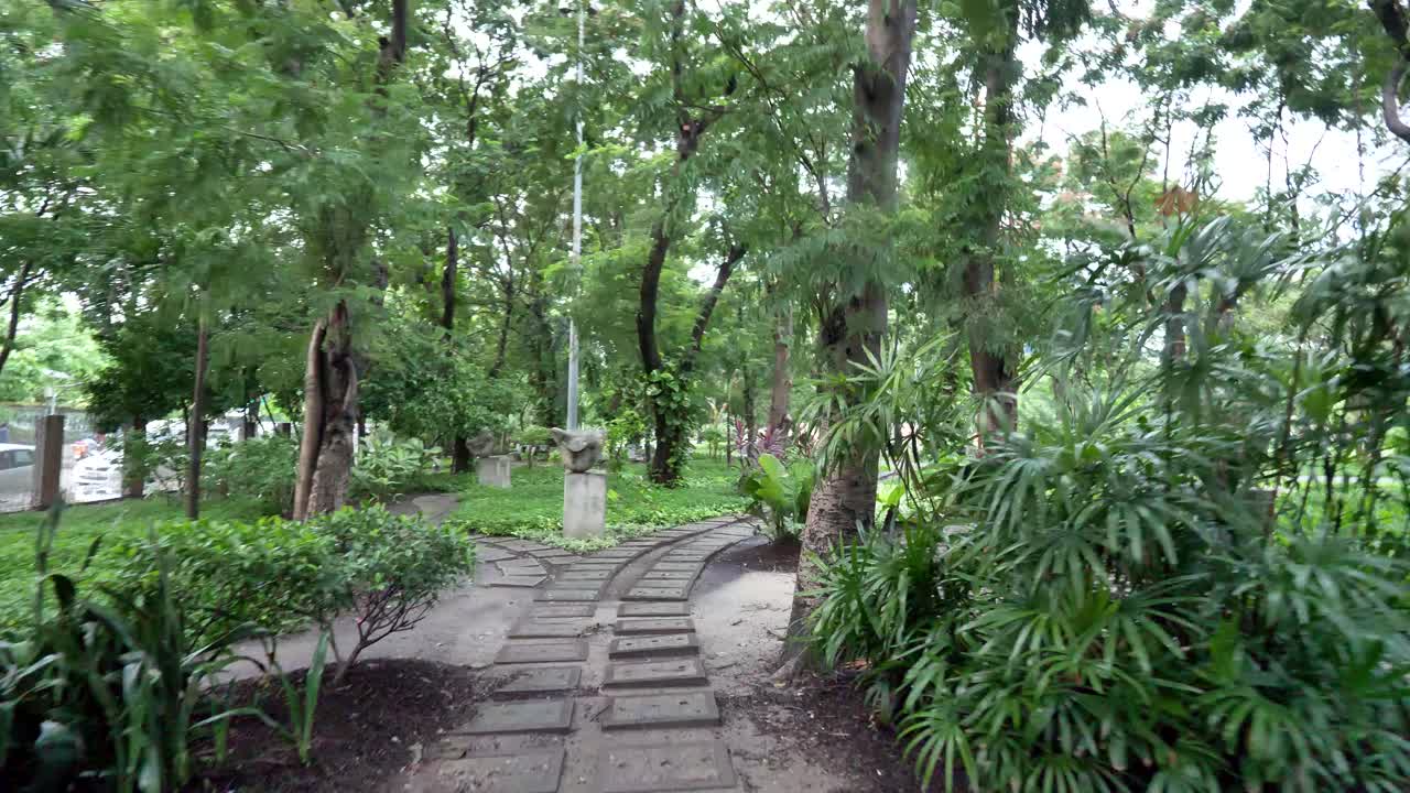 escena del parque con árboles y plantas verdes exuberantes