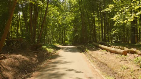 El-Parque-Público-Bois-De-La-Cambre-En-Un-Día-Soleado-En-Bruselas,-Bélgica