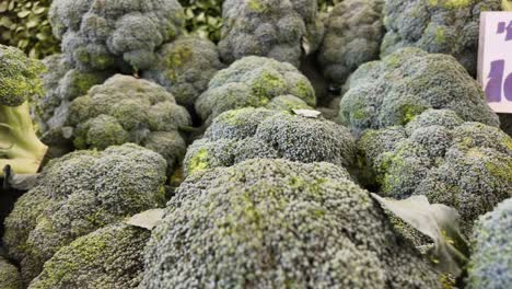 fresh broccoli display