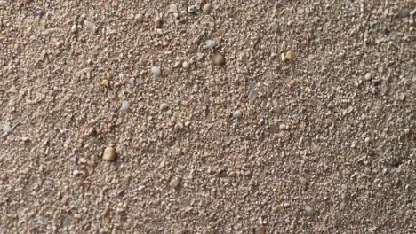 video of close up of sand grains and copy space background