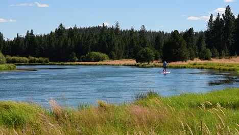 Stand-Up-Paddleboarder-Auf-Einem-Fluss