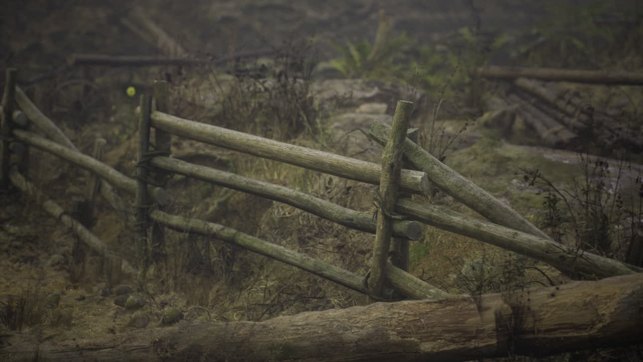 Wooden fence stands resilient in a quiet misty landscape at dawn
